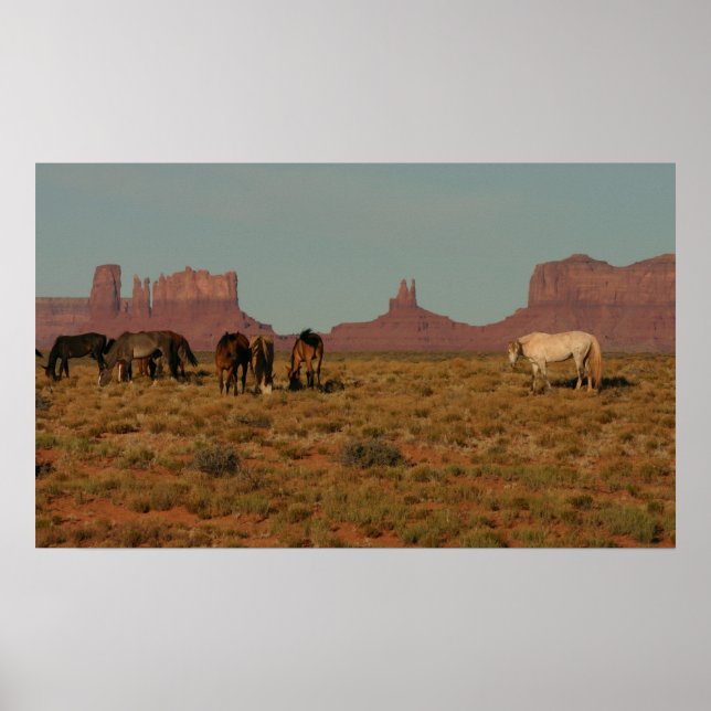 Poster Chevaux sur Western Range (Devant)