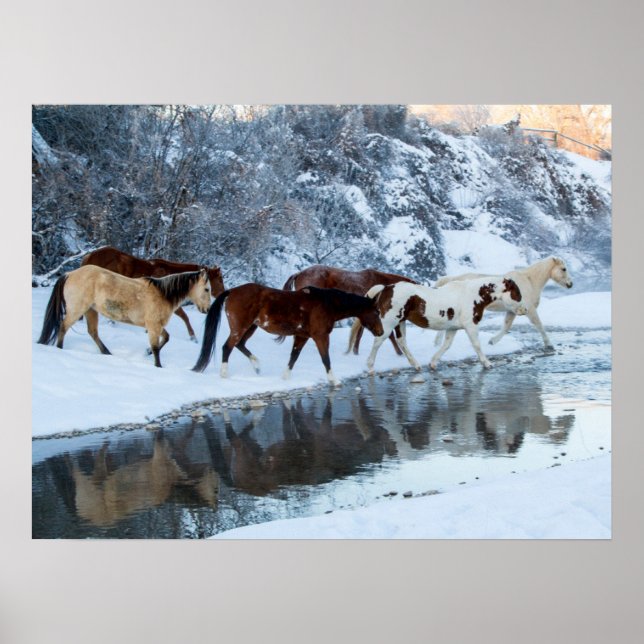 Poster Chevaux traversant le ruisseau (Devant)