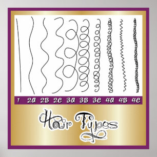 Poster Cheveux Types1