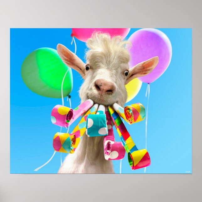 Poster Chèvre avec des pétards de fête (Devant)