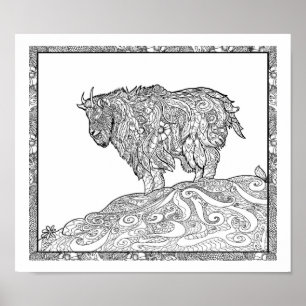 Poster Chèvre de montagne de l'Alaska