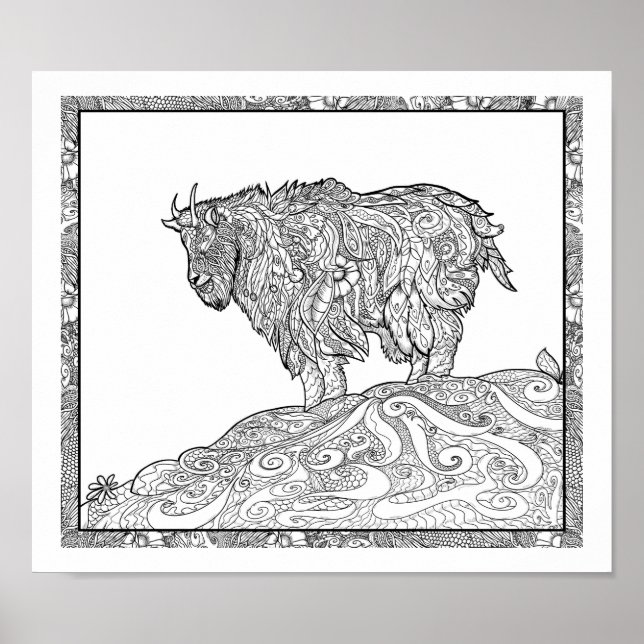 Poster Chèvre de montagne de l'Alaska (Devant)