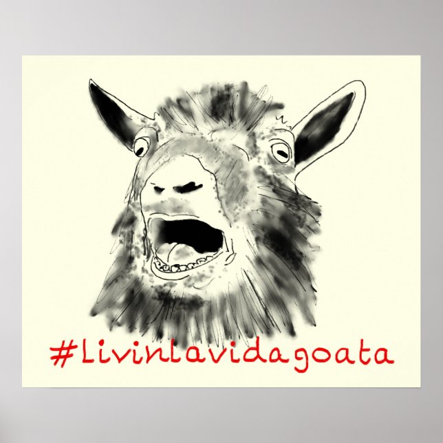 Poster Chèvre drôle Livin La Vida Goata (Devant)