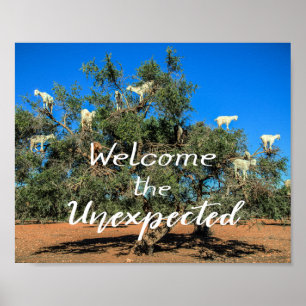 Poster Chèvres dans les arbres Bienvenue à l'inattendu