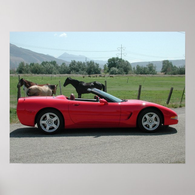 Poster Chevrolet Corvette Convertible C5 (Devant)