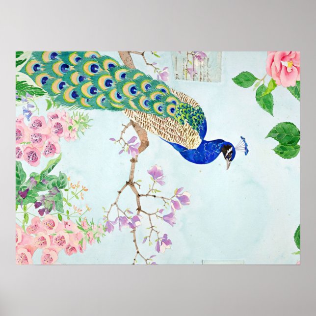 Poster Chibi Peacock | Peacock Lover | Peacock Lover Art (Devant)