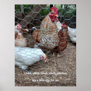 Poster Chick chick fun