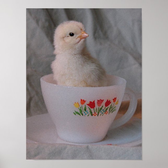 Poster Chick en Teacup Vintage (Devant)