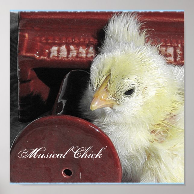 Poster Chick musical (Devant)