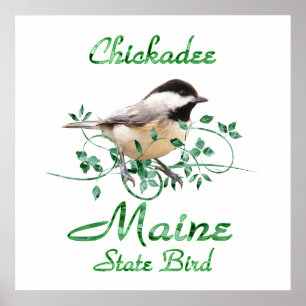 Poster Chickadee Maine State Bird