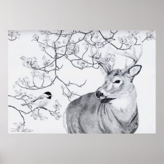 Poster Chickadee's Song