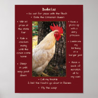 Poster-Chicken-Eimer