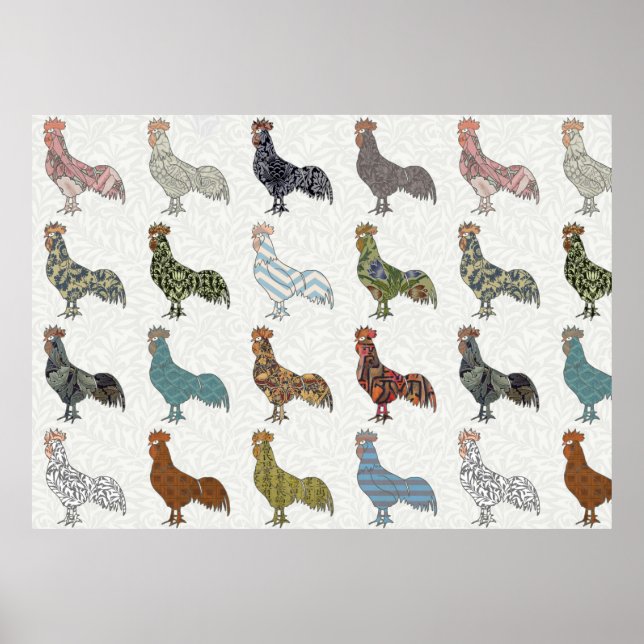 Poster Chicken Rooster Coloré ferme Motif (Devant)