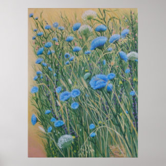 Poster Chicorée sauvage et mauvaises herbes