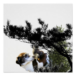 Poster chien