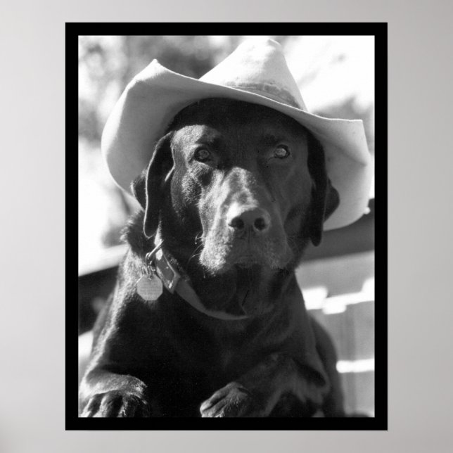 Poster chien (Devant)