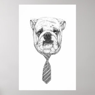 Poster chien