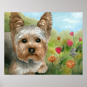 Poster Chien 117 Yorkshire