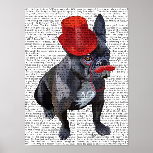 Poster Chien à tête rouge avec chapeau rouge et moustache (Devant)