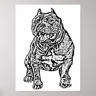 Poster Chien américain de despote