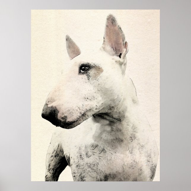 Poster Chien anglais Bull Terrier (Devant)
