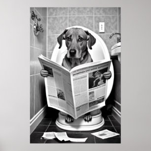 Poster Chien assis sur les toilettes Lire un journal