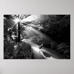 Poster Chien au soleil du matin