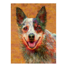 chien australien