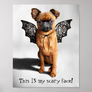 Poster Chien aux ailes de chauve-souris