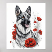 Chien berger allemand
