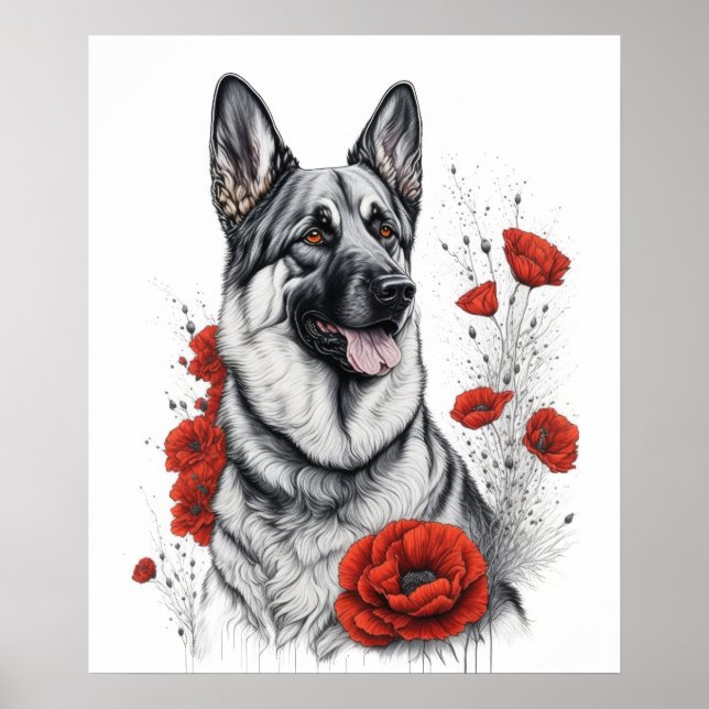 Poster Chien berger allemand (Devant)