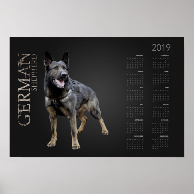 Poster Chien berger allemand - Calendrier GSD 2019 (Devant)
