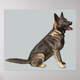Poster Chien berger allemand Sable