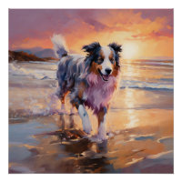 Chien berger australien sable sur coucher de solei