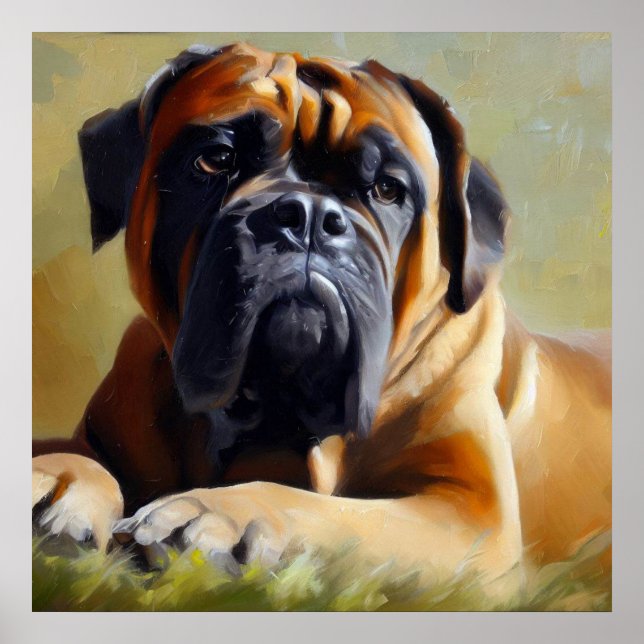 Poster Chien Bullmastiff (Devant)
