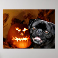 Chien Carlin d'Halloween