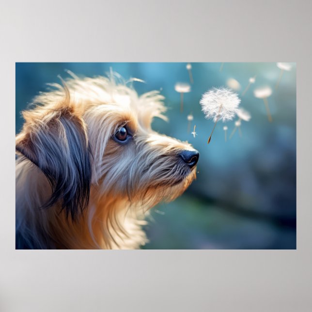 Poster Chien Chien Chien Chien Animal Tranquille Pacifiqu (Devant)