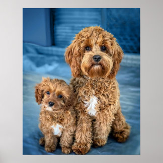Poster Chien Chien Chien Chien Chien Chien Chien adorable