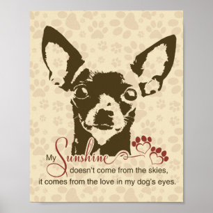 Poster Chien Chihuahua Mon Soleil