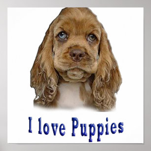 Poster Chien chiot
