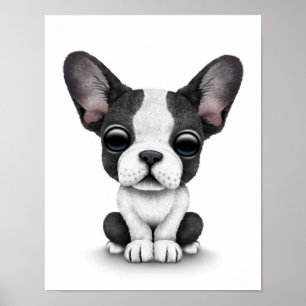 Poster Chien chiot français mignon sur blanc