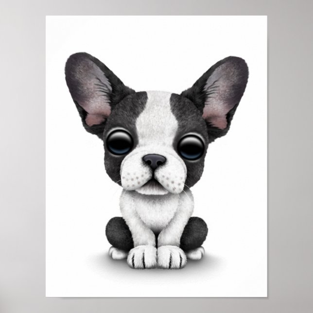 Poster Chien chiot français mignon sur blanc (Devant)