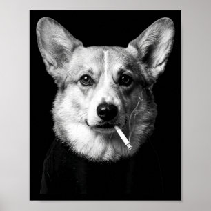 Poster Chien corgi drôle fumant mème chien fumant cigaret