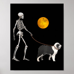 Poster Chien de berger anglais ancien squelette chien mar