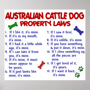POSTER CHIEN DE CHÂTEAU AUSTRALIEN PL2