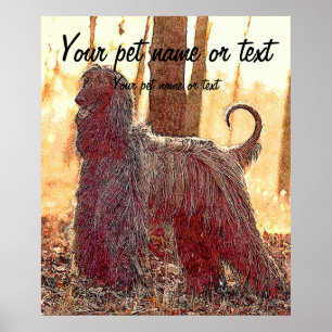 Poster Chien de chien afghan dans la forêt