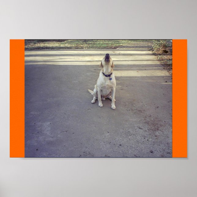 Poster Chien de garde (Devant)