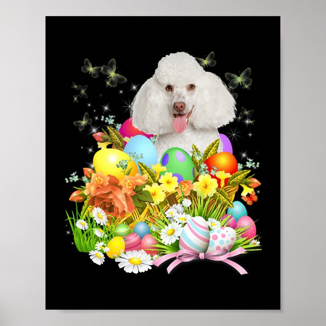Poster Chien de lapin de caniche blanc avec oeufs de Pâqu (Devant)