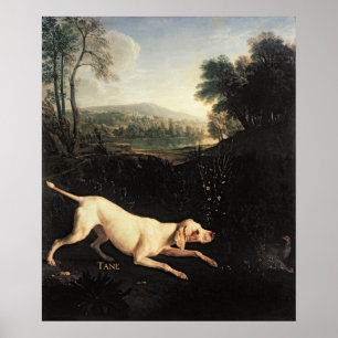 Poster Chien de Louis XIV, Tane