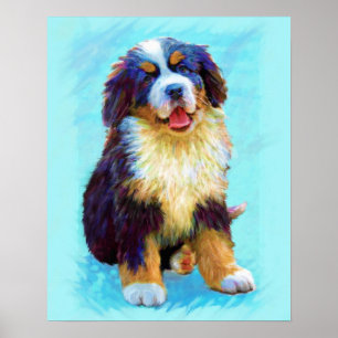 Poster chien de montagne bernese